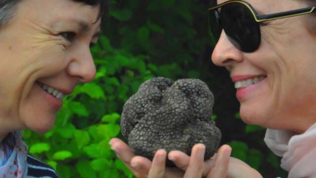 In Norcia, we have the opportunity to hunt for black truffles with locals. This is a unique activity to Umbria